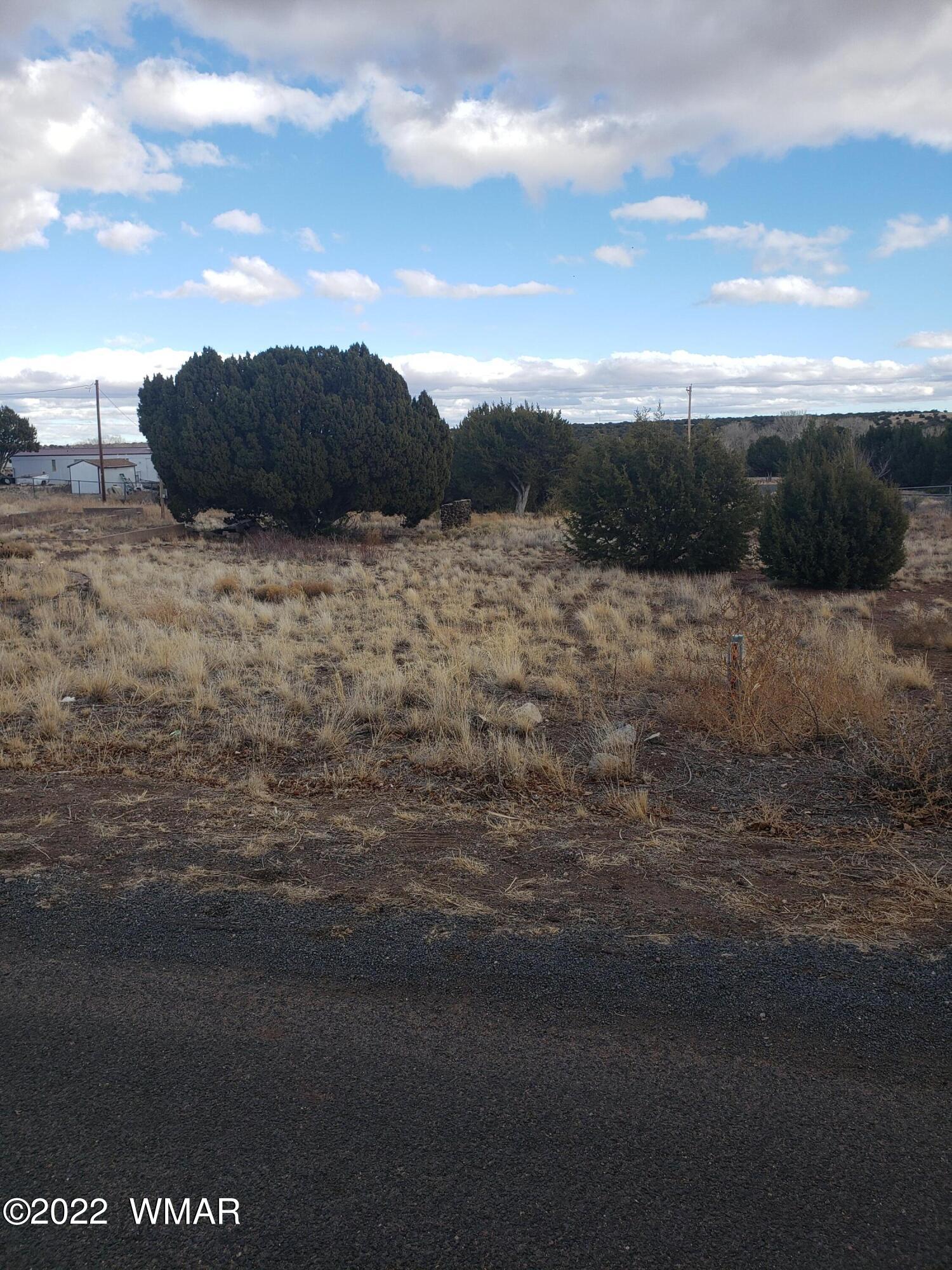 119 Frontage Road Concho, AZ 85924 - Photo 3 of 4