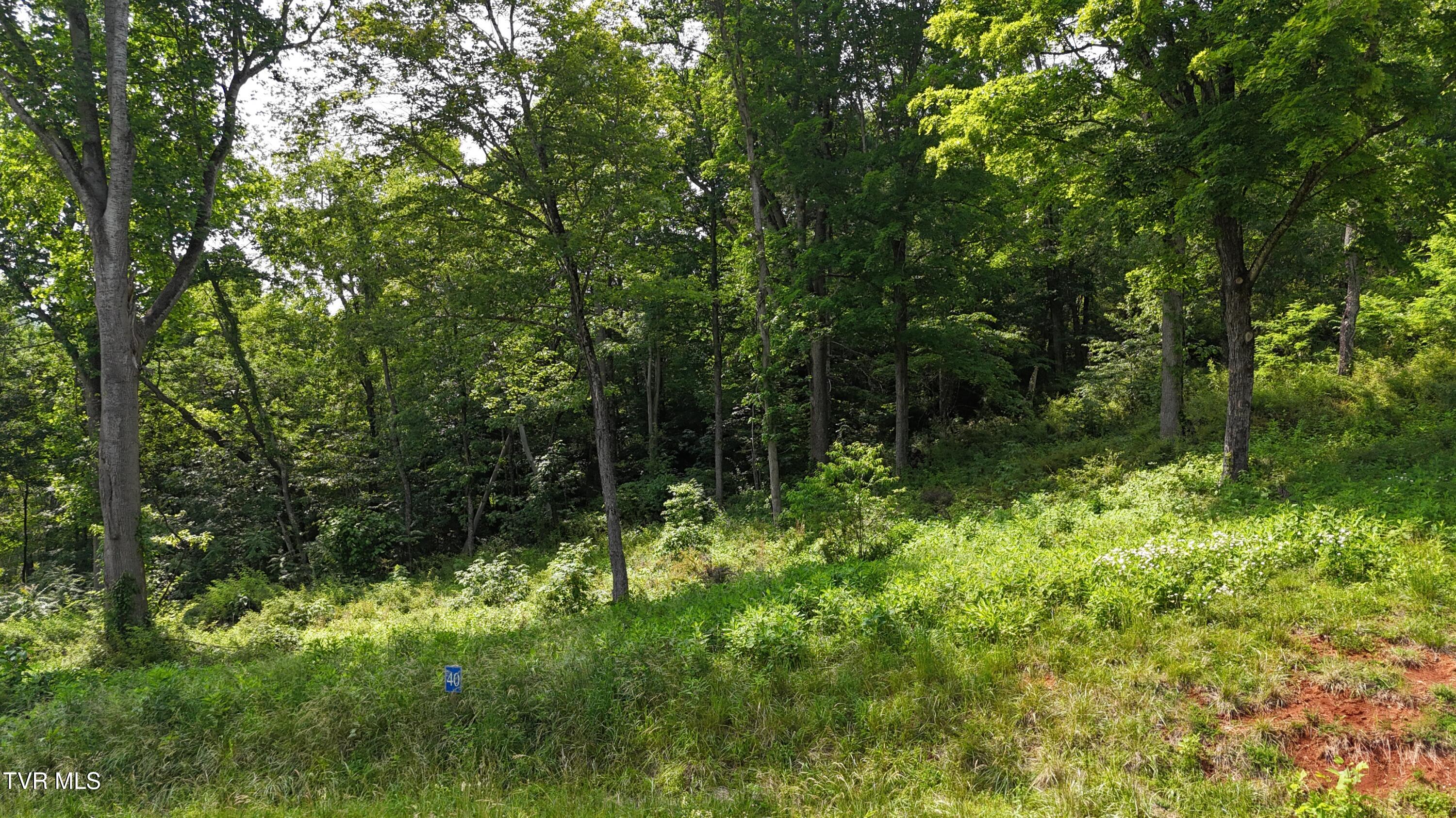 40 Cowan Town Road, Unit 40 Butler, TN 37640 - Photo 11 of 97 dji_fly_20250604_154214_0149_17490665944