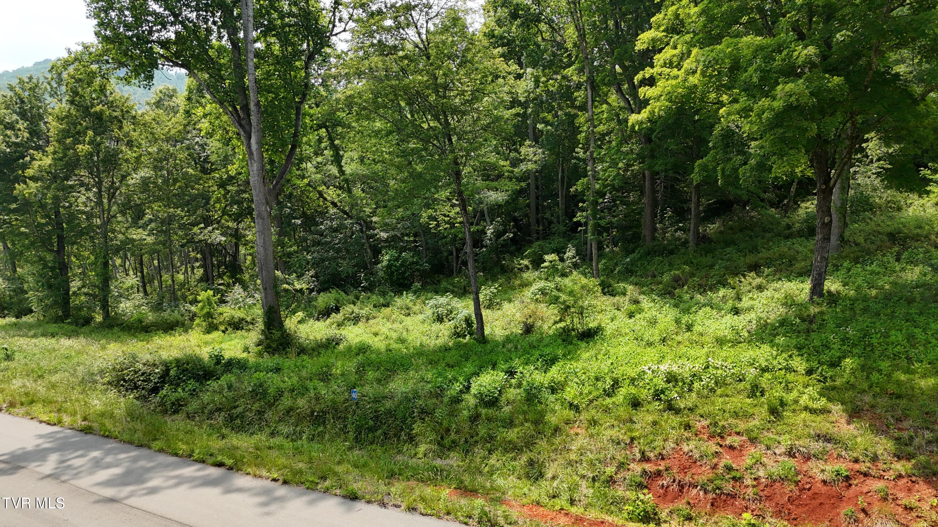 40 Cowan Town Road, Unit 40 Butler, TN 37640 - Photo 13 of 97 dji_fly_20250604_154224_0152_17490665929