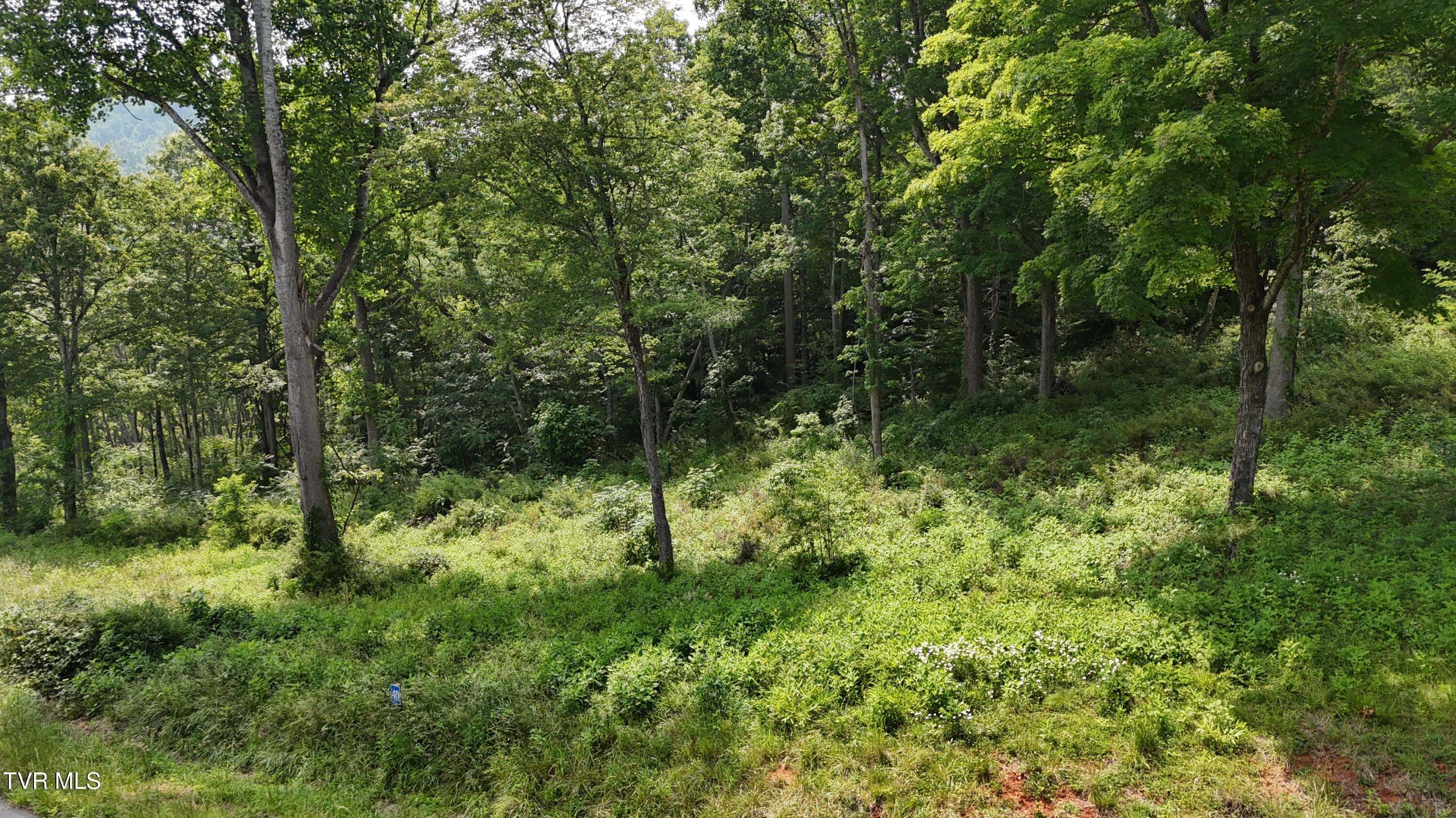 40 Cowan Town Road, Unit 40 Butler, TN 37640 - Photo 15 of 97 dji_fly_20250604_154238_0154_17490665926