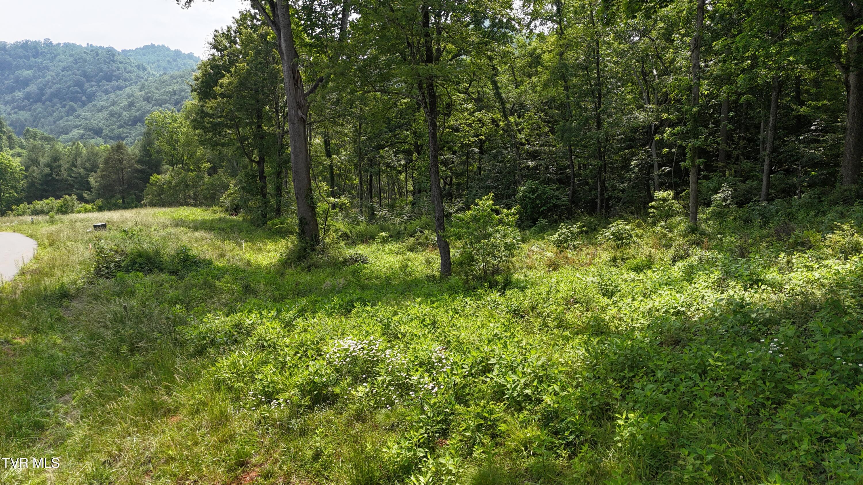 40 Cowan Town Road, Unit 40 Butler, TN 37640 - Photo 17 of 97 dji_fly_20250604_154252_0156_17490665917