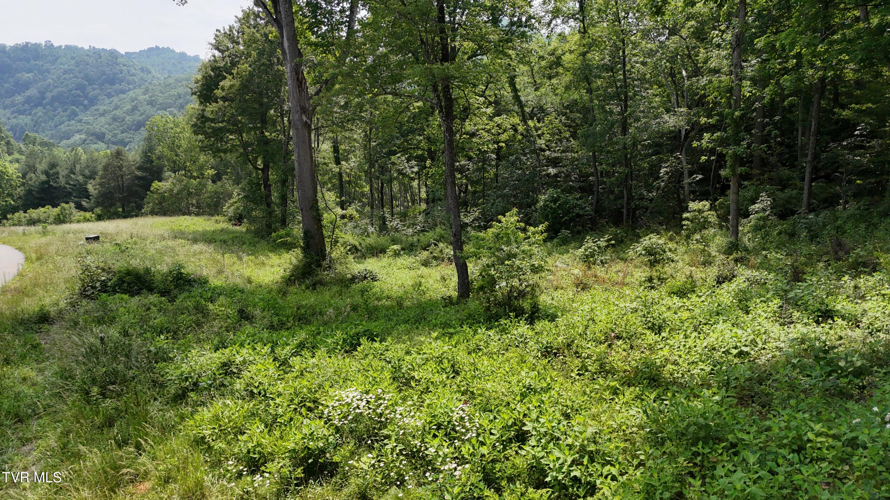 40 Cowan Town Road, Unit 40 Butler, TN 37640 - Photo 18 of 97 dji_fly_20250604_154254_0157_17490665913