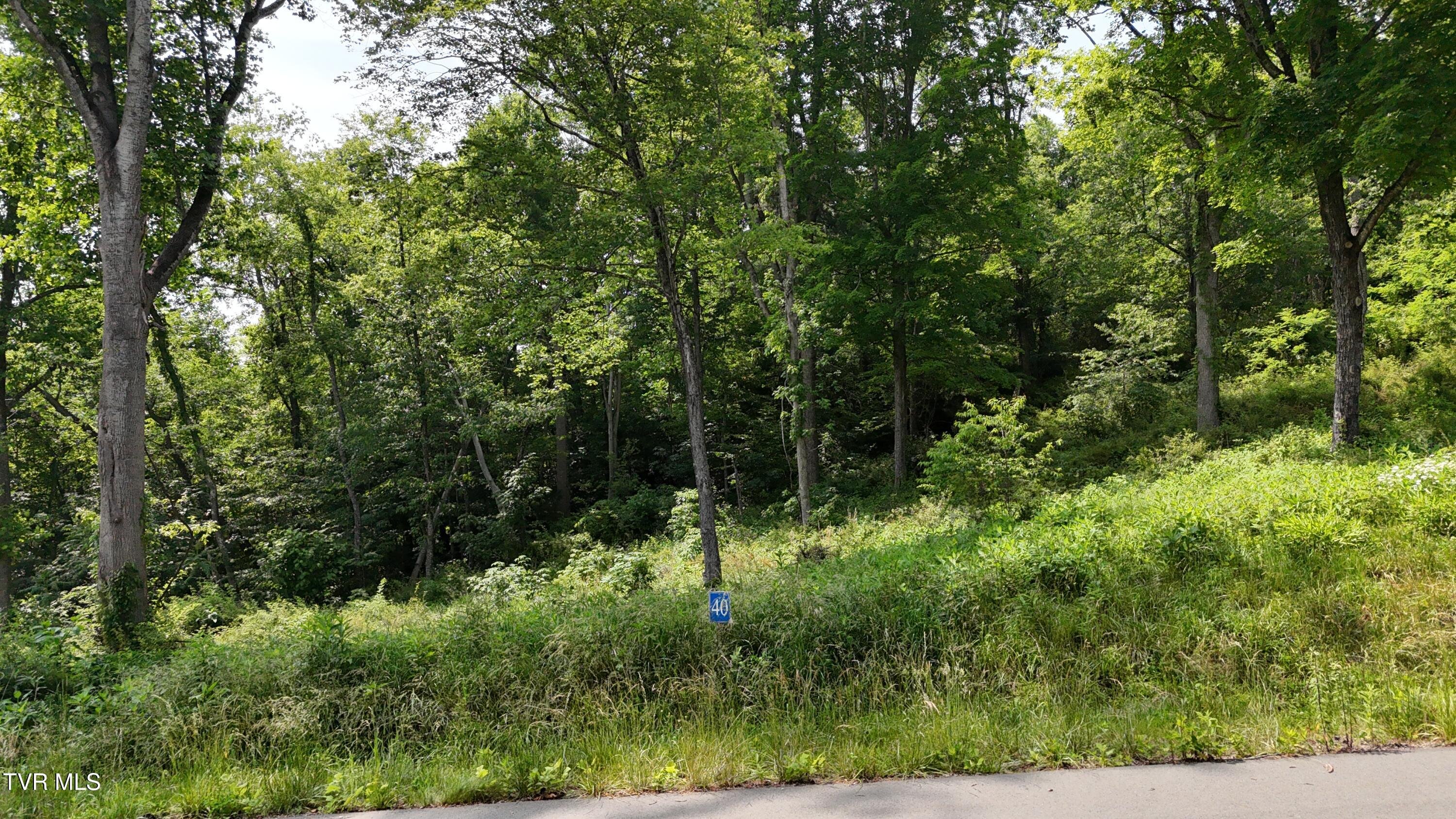 40 Cowan Town Road, Unit 40 Butler, TN 37640 - Photo 2 of 97 dji_fly_20250604_154112_0136_17490666011