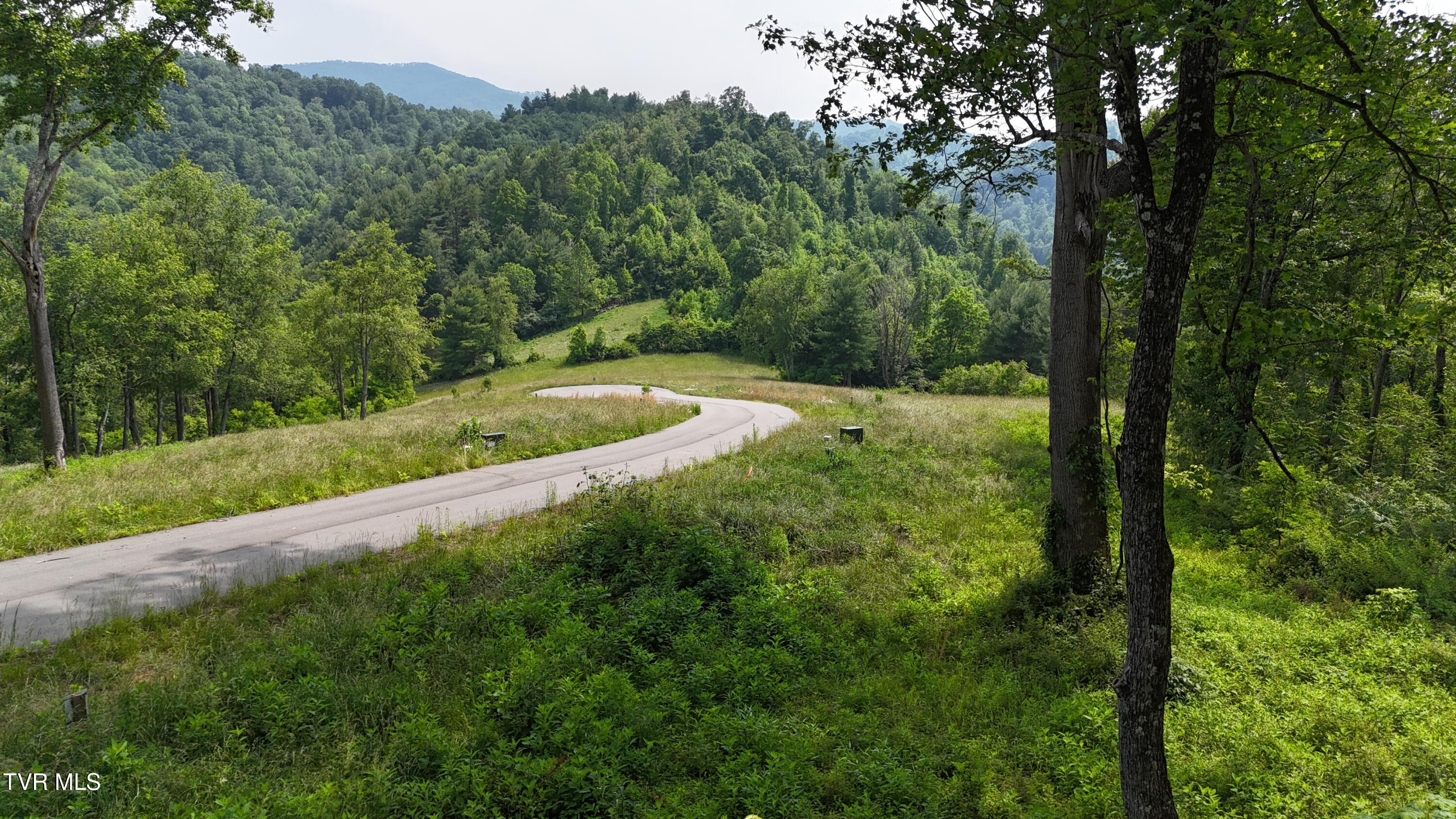40 Cowan Town Road, Unit 40 Butler, TN 37640 - Photo 21 of 97 dji_fly_20250604_154356_0160_17490665902