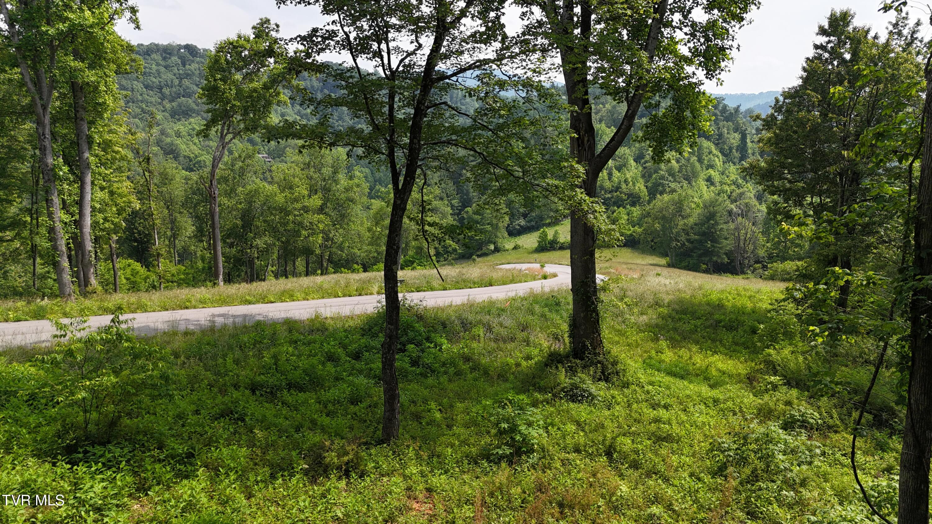 40 Cowan Town Road, Unit 40 Butler, TN 37640 - Photo 24 of 97 dji_fly_20250604_154420_0163_17490665891