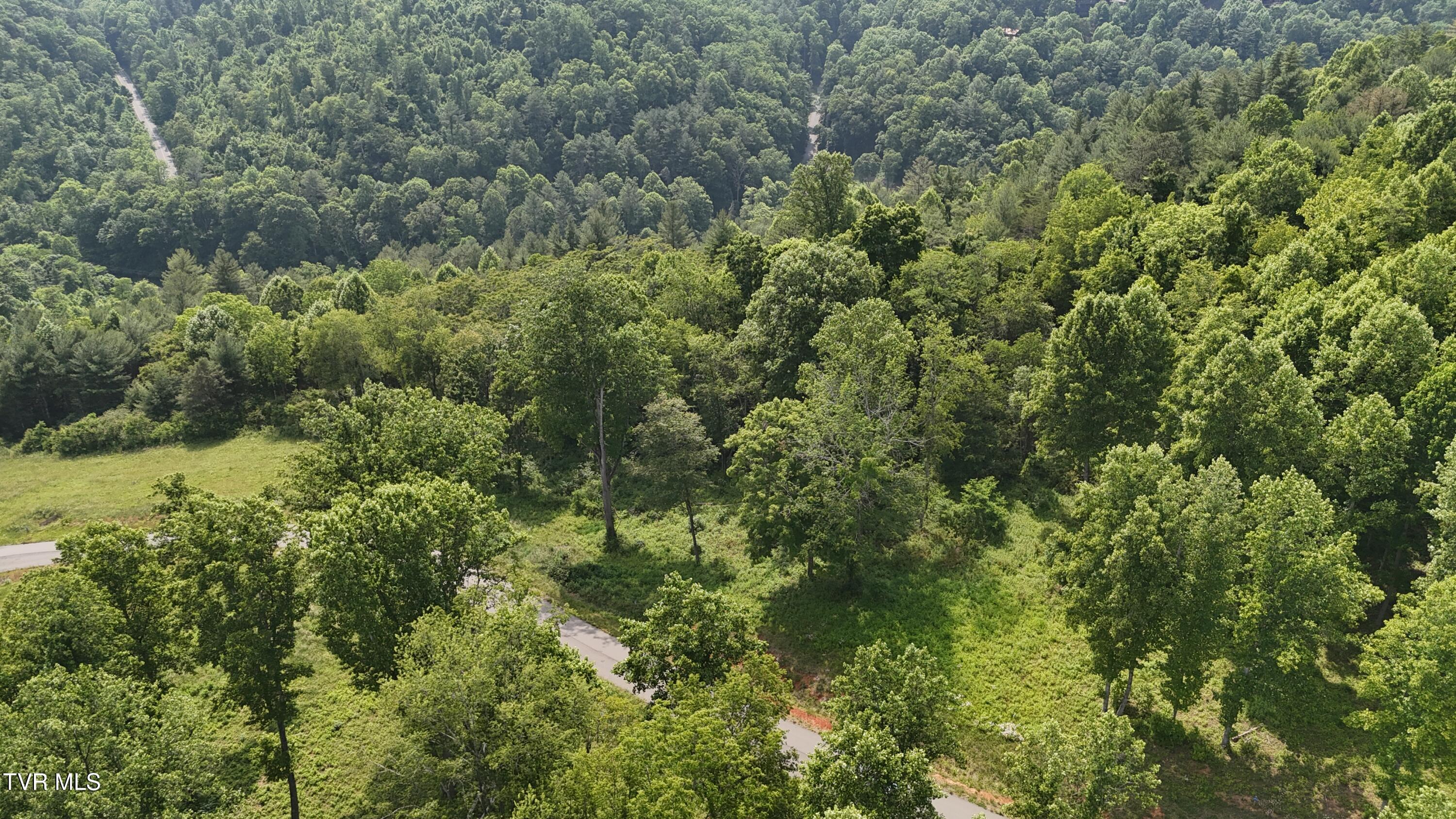 40 Cowan Town Road, Unit 40 Butler, TN 37640 - Photo 28 of 97 dji_fly_20250604_154520_0168_17490665872