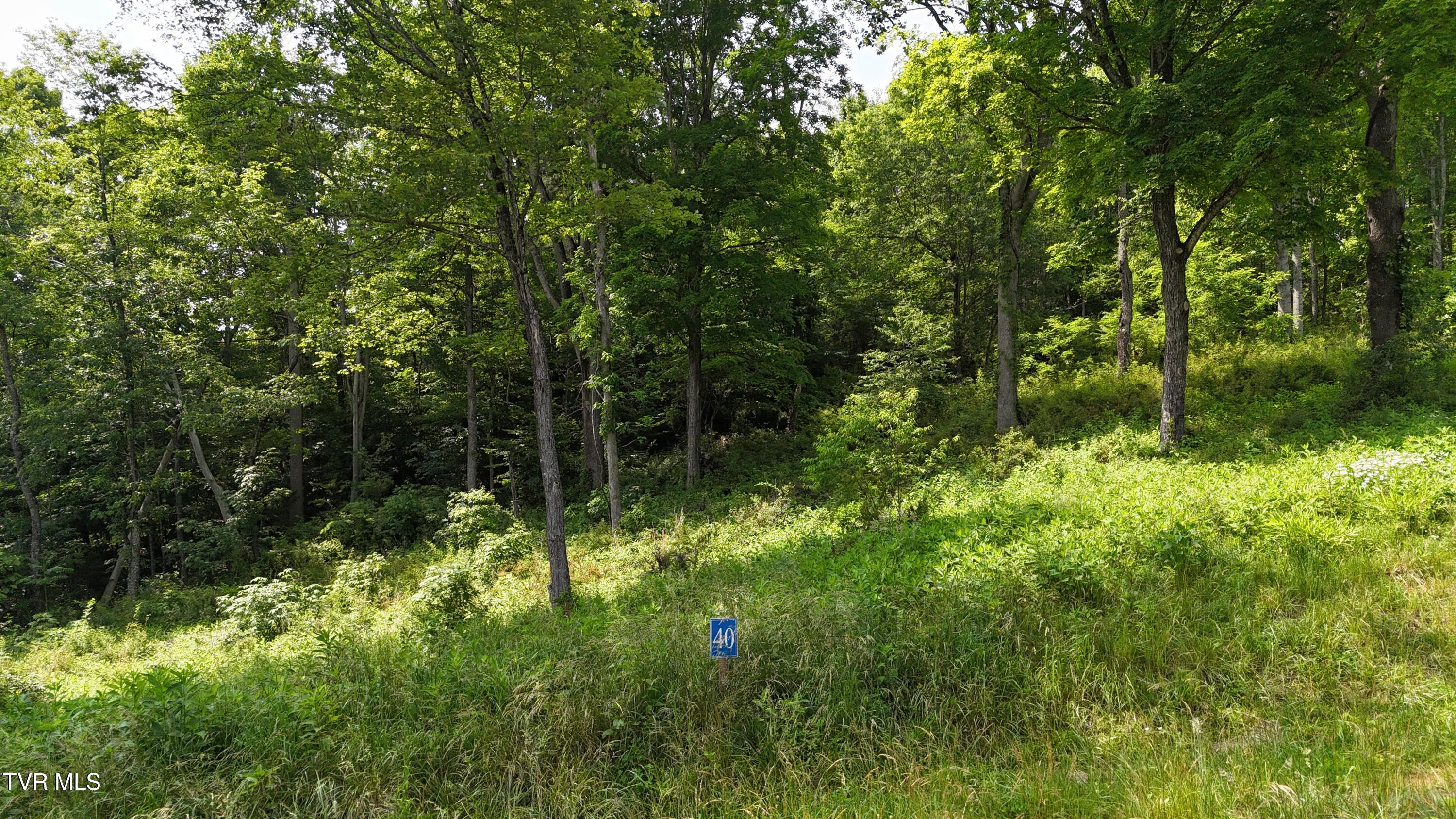 40 Cowan Town Road, Unit 40 Butler, TN 37640 - Photo 3 of 97 dji_fly_20250604_154122_0138_17490665995