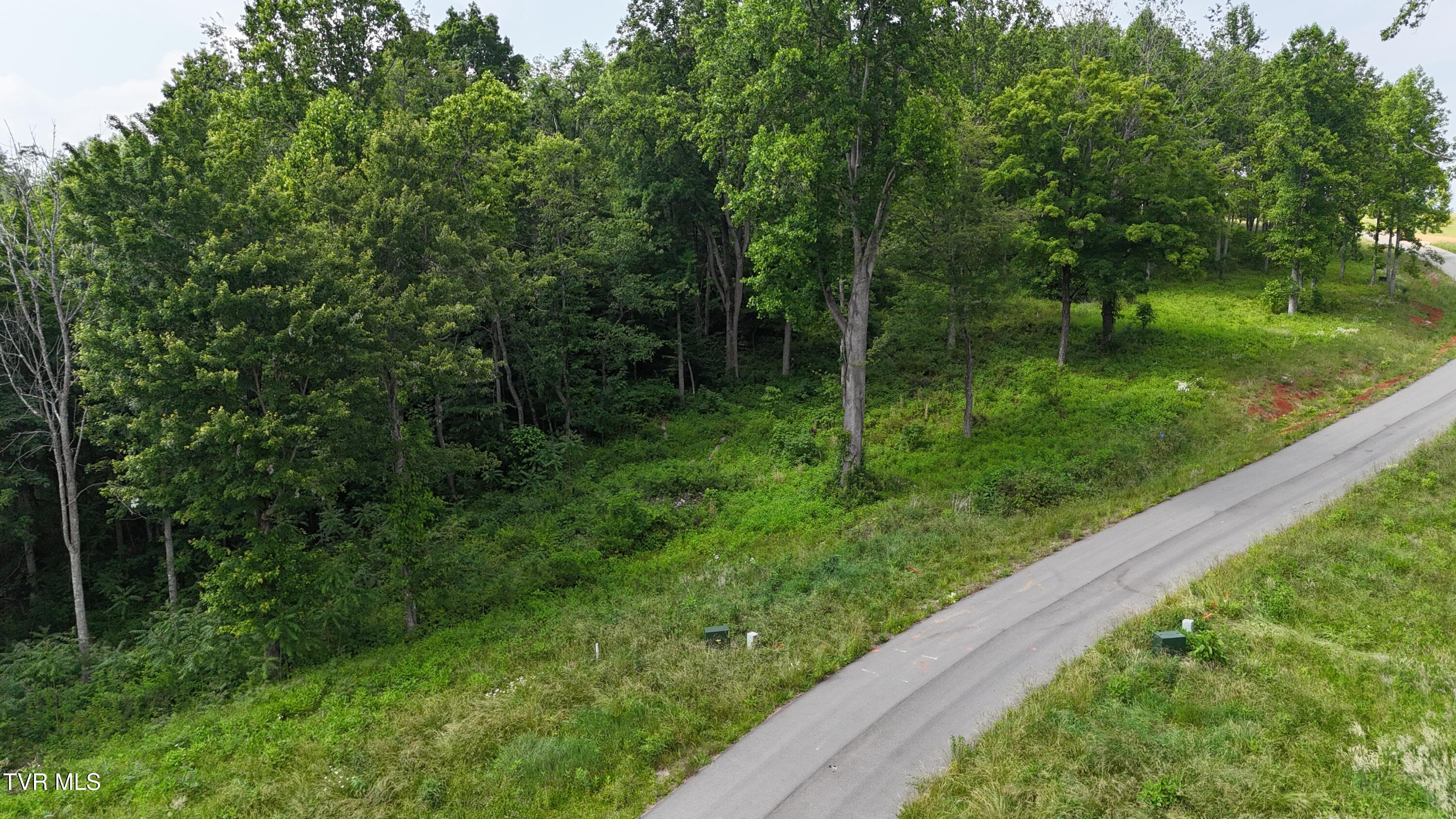 40 Cowan Town Road, Unit 40 Butler, TN 37640 - Photo 48 of 97 dji_fly_20250604_154924_0189_17490665787