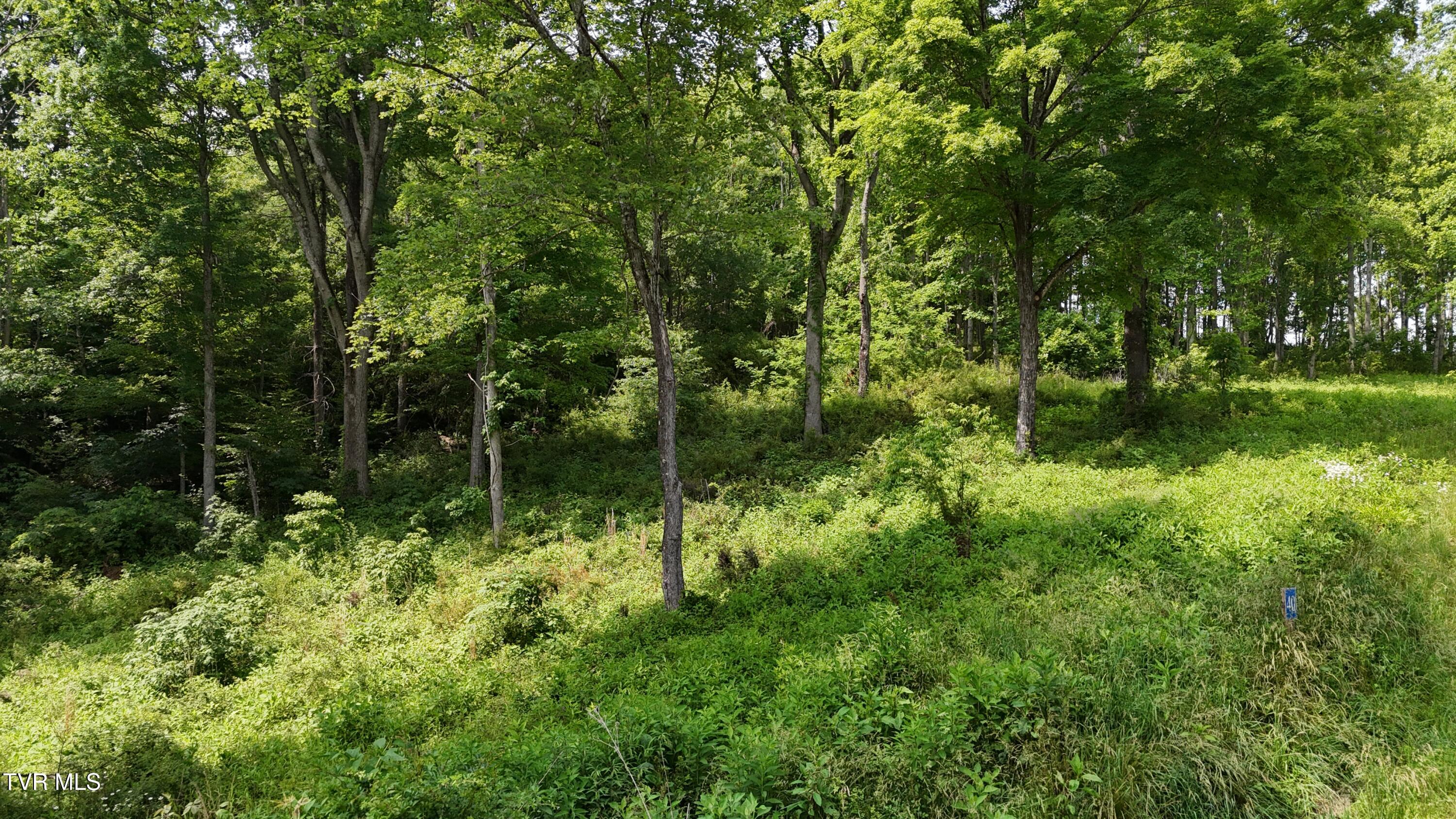 40 Cowan Town Road, Unit 40 Butler, TN 37640 - Photo 5 of 97 dji_fly_20250604_154132_0141_17490665967