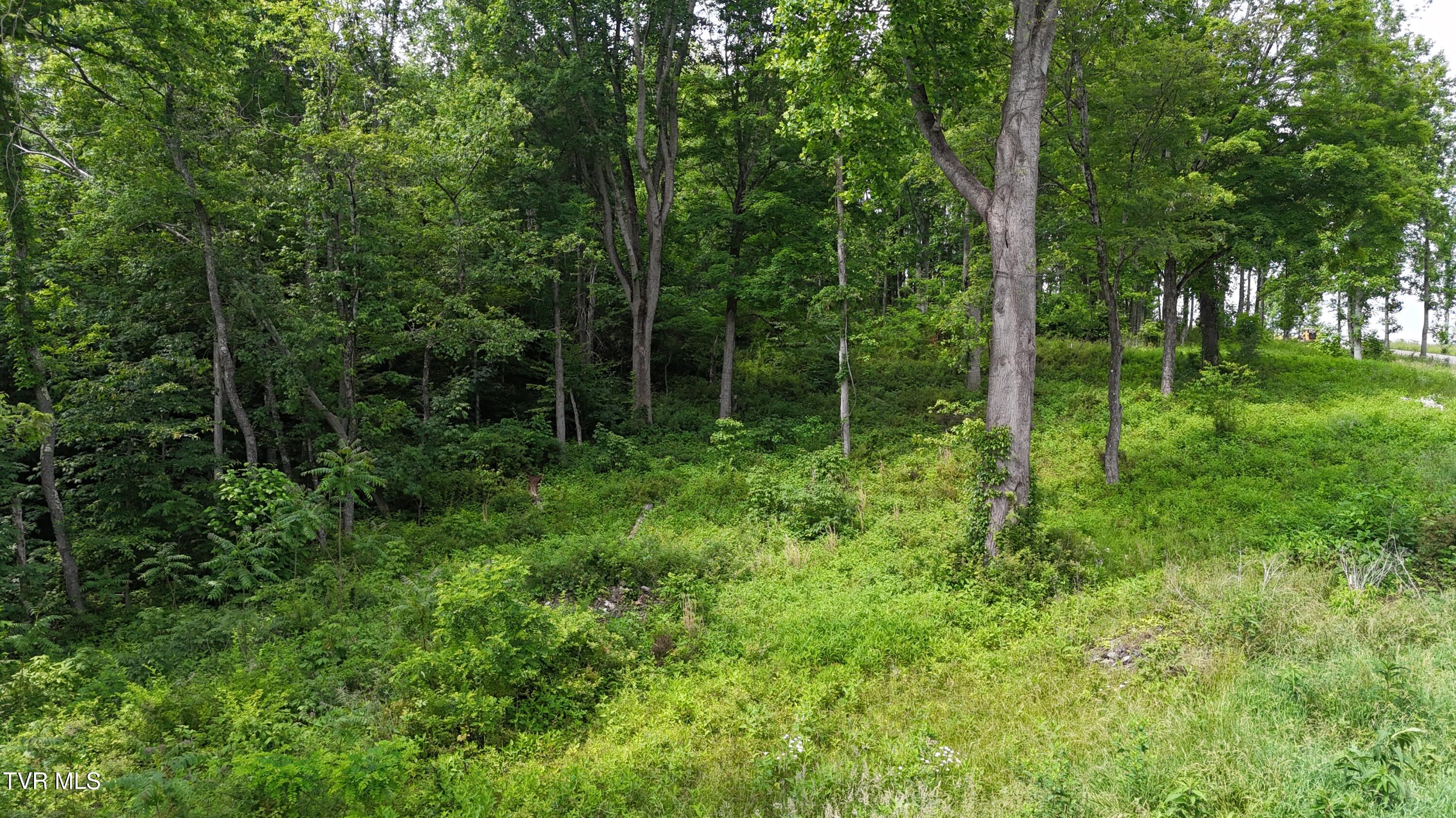 40 Cowan Town Road, Unit 40 Butler, TN 37640 - Photo 52 of 97 dji_fly_20250604_154942_0193_17490665773