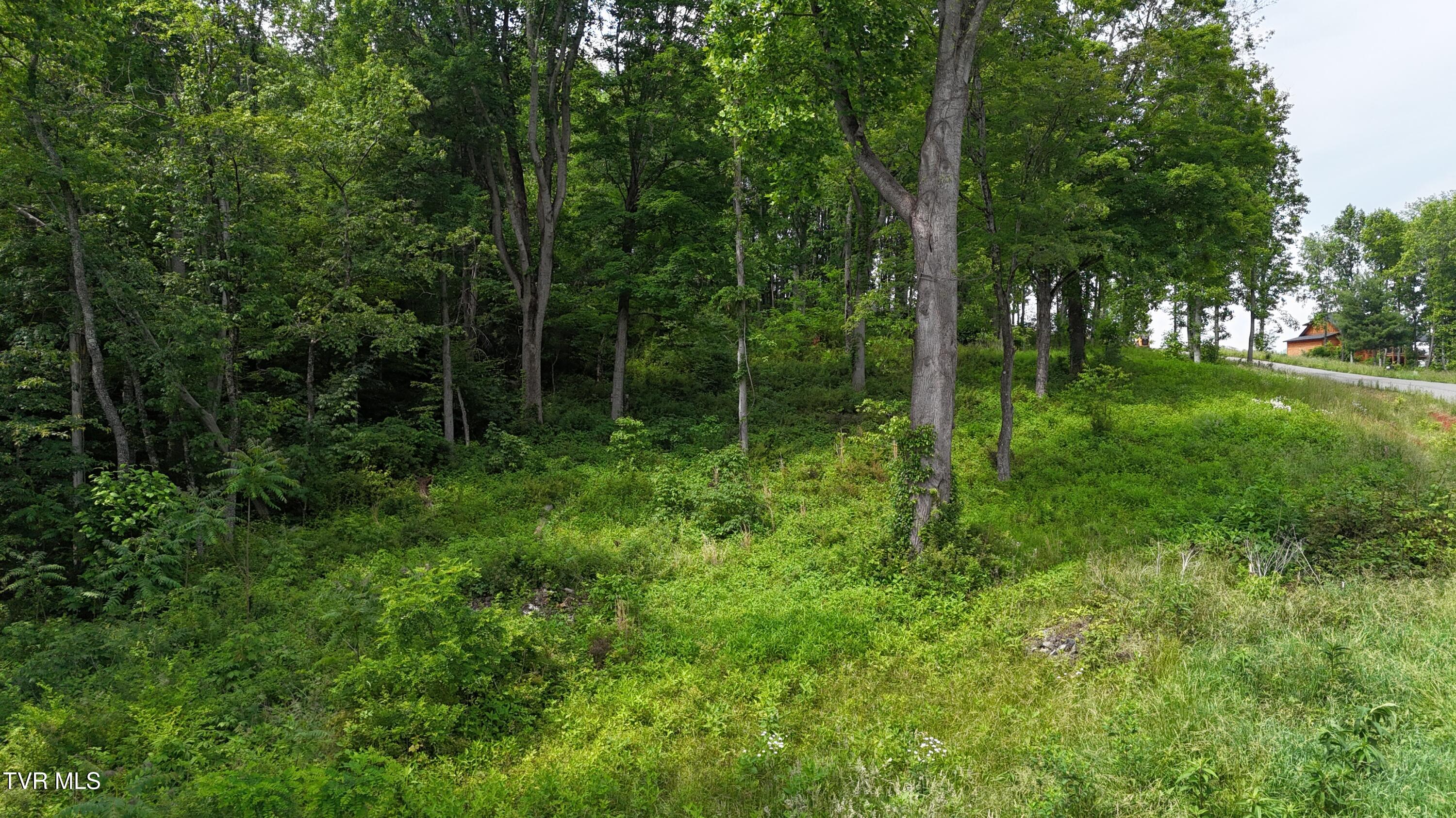 40 Cowan Town Road, Unit 40 Butler, TN 37640 - Photo 53 of 97 dji_fly_20250604_154944_0194_17490665768