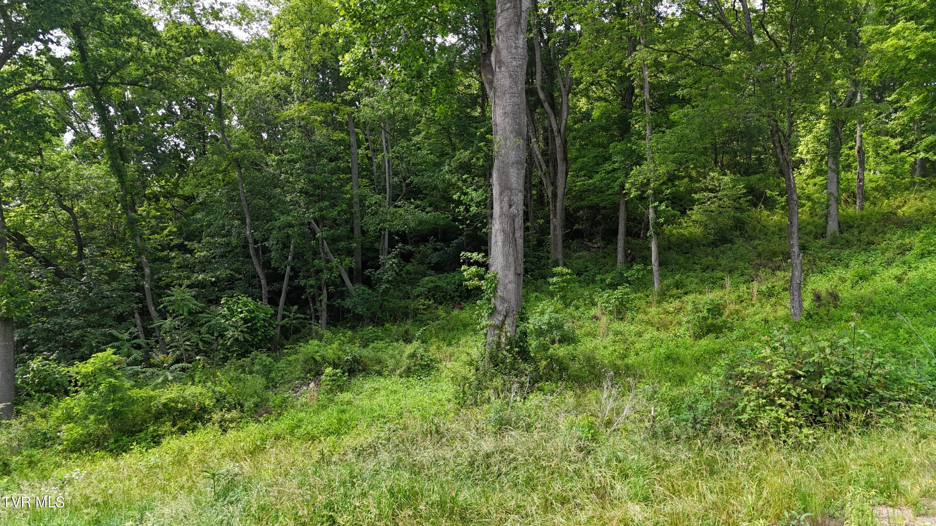 40 Cowan Town Road, Unit 40 Butler, TN 37640 - Photo 55 of 97 dji_fly_20250604_155028_0196_17490665762