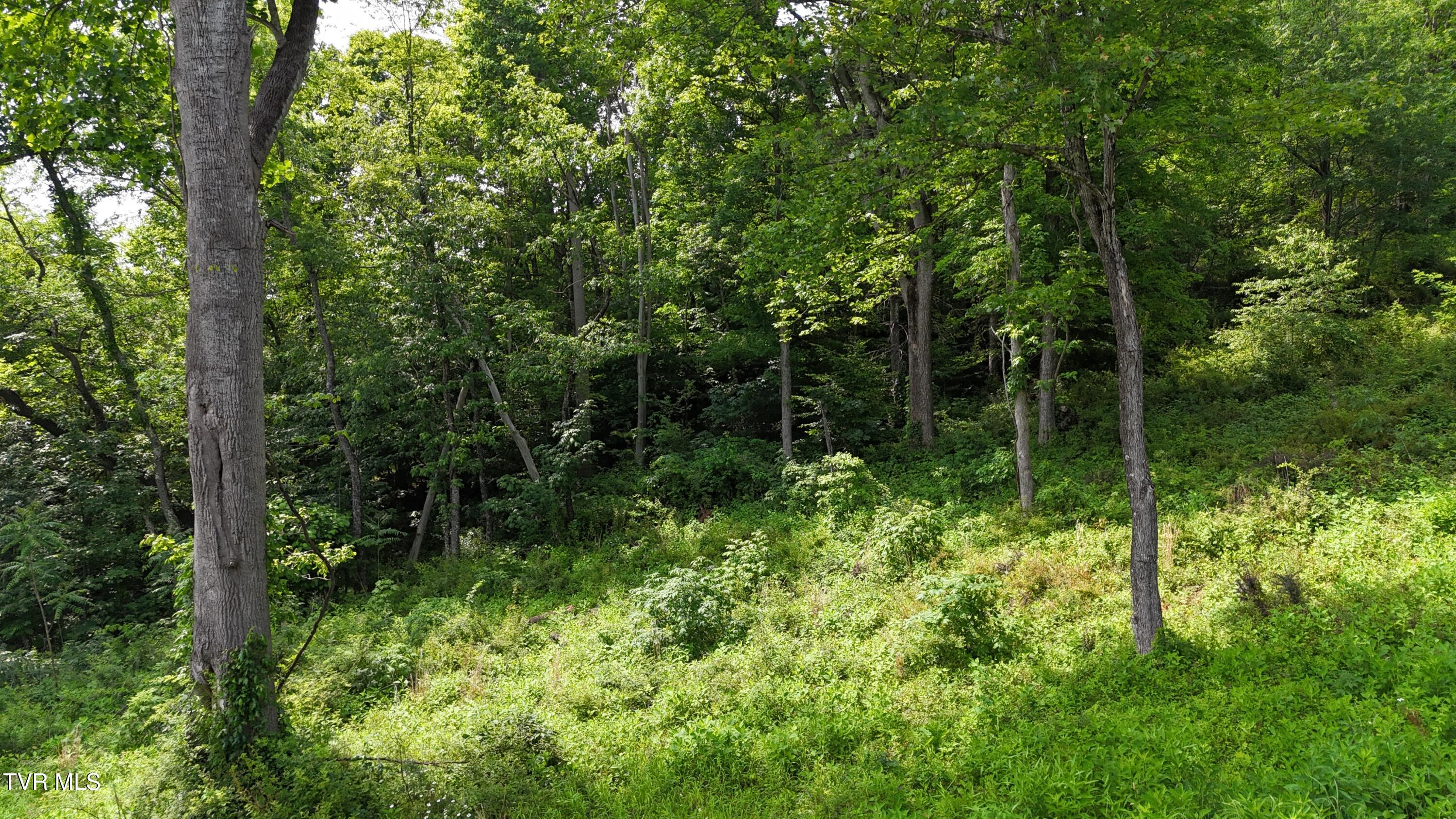 40 Cowan Town Road, Unit 40 Butler, TN 37640 - Photo 56 of 97 dji_fly_20250604_155040_0197_17490665757