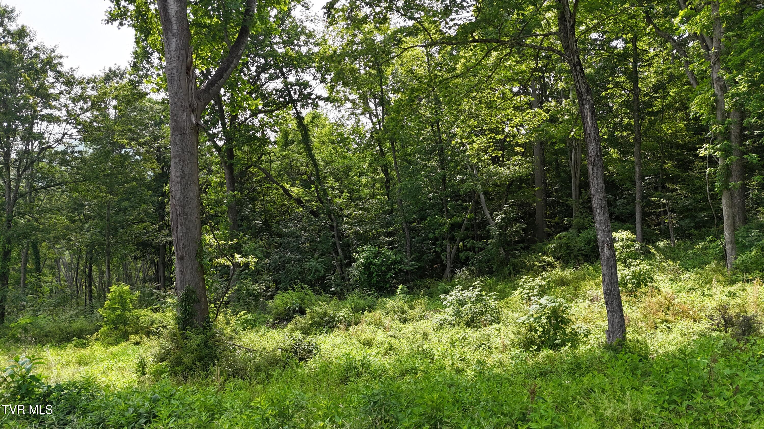 40 Cowan Town Road, Unit 40 Butler, TN 37640 - Photo 57 of 97 dji_fly_20250604_155046_0198_17490665754