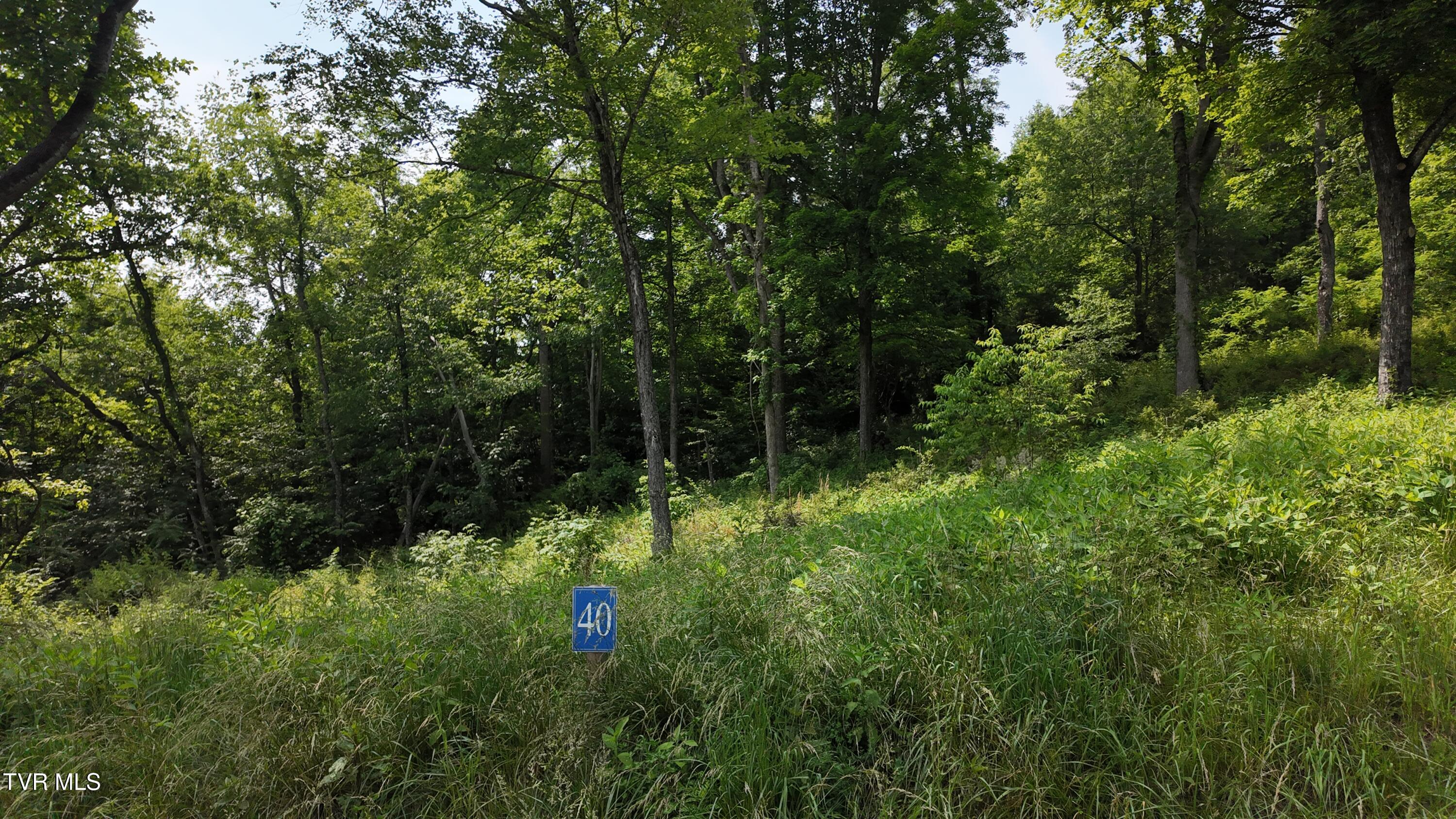 40 Cowan Town Road, Unit 40 Butler, TN 37640 - Photo 59 of 97 dji_mimo_20250604_155202_20250604155203_