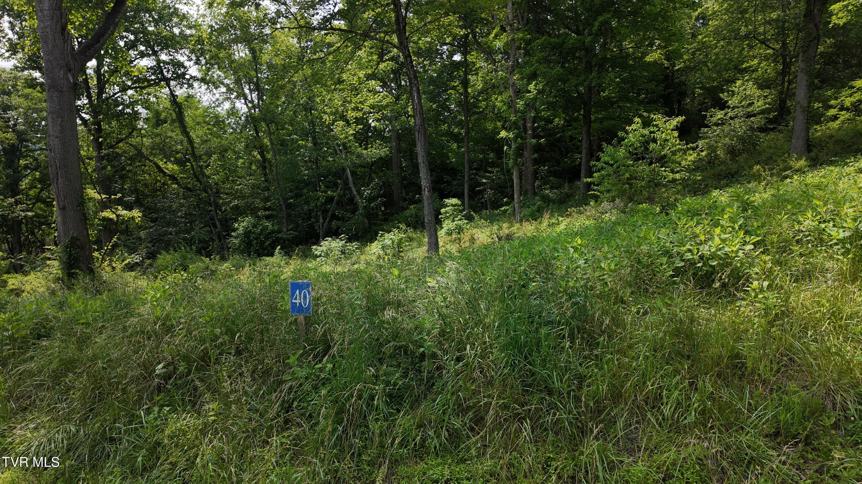 40 Cowan Town Road, Unit 40 Butler, TN 37640 - Photo 60 of 97 dji_mimo_20250604_155208_20250604155208_