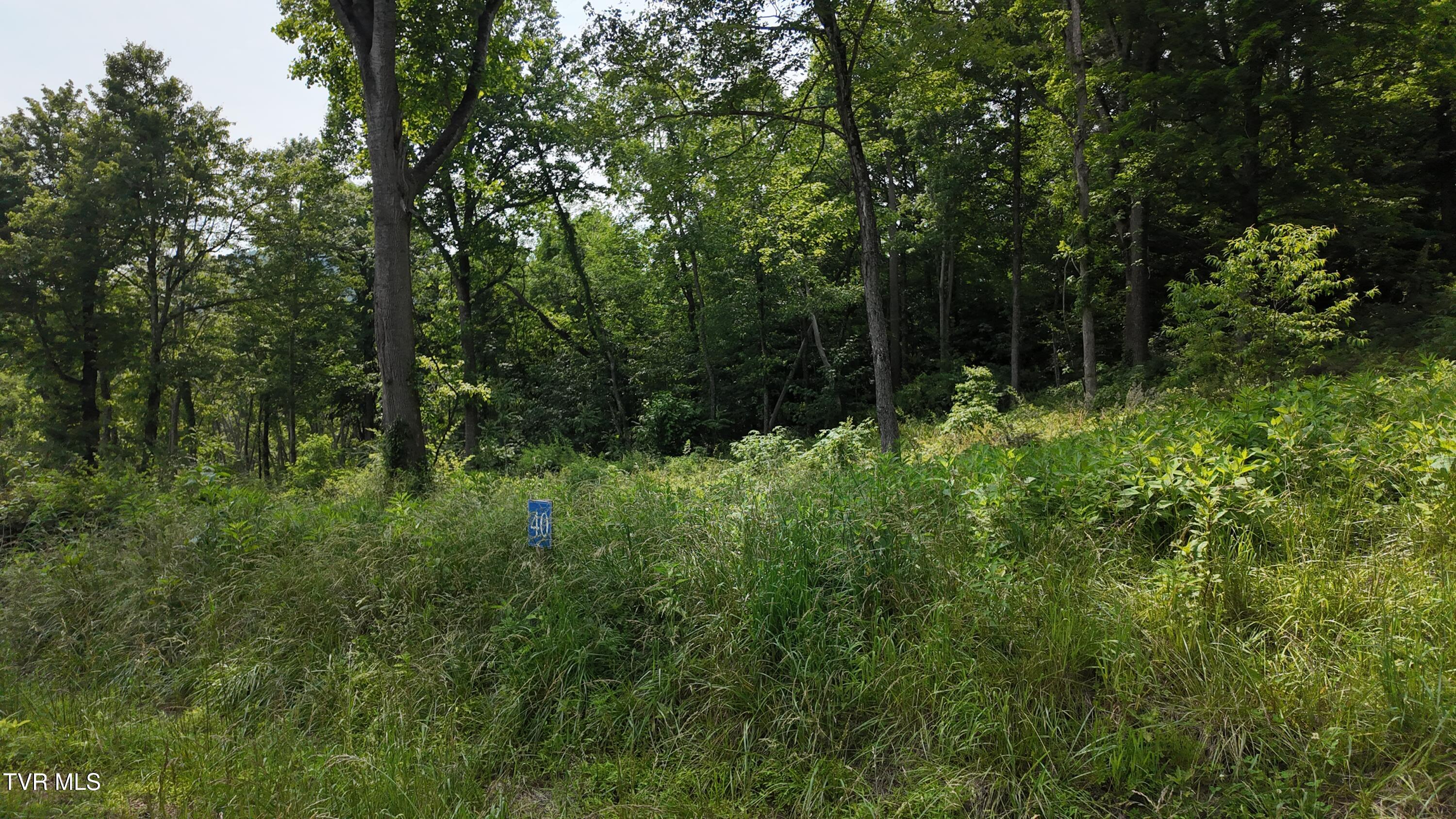 40 Cowan Town Road, Unit 40 Butler, TN 37640 - Photo 61 of 97 dji_mimo_20250604_155212_20250604155212_