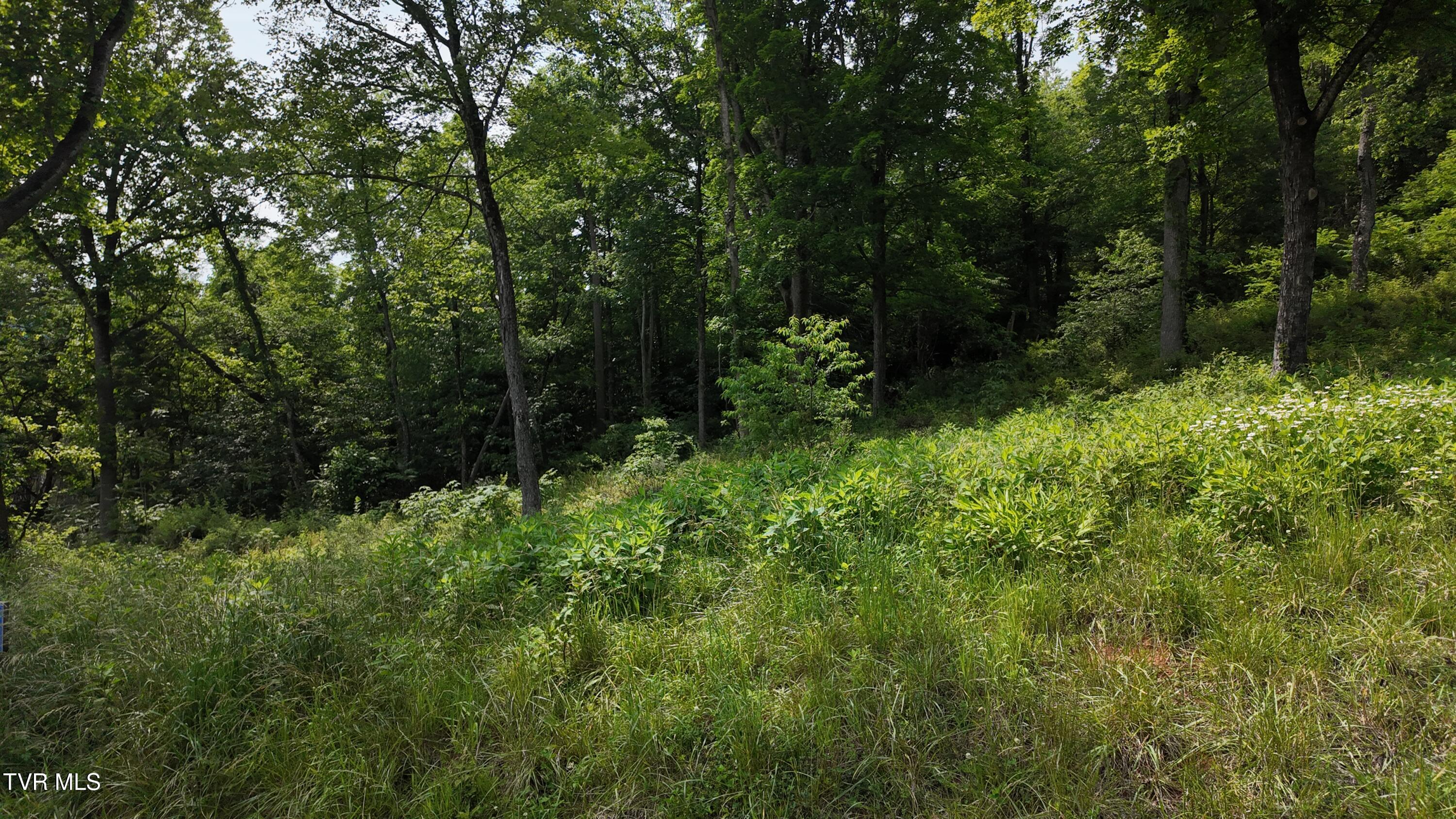 40 Cowan Town Road, Unit 40 Butler, TN 37640 - Photo 63 of 97 dji_mimo_20250604_155218_20250604155219_