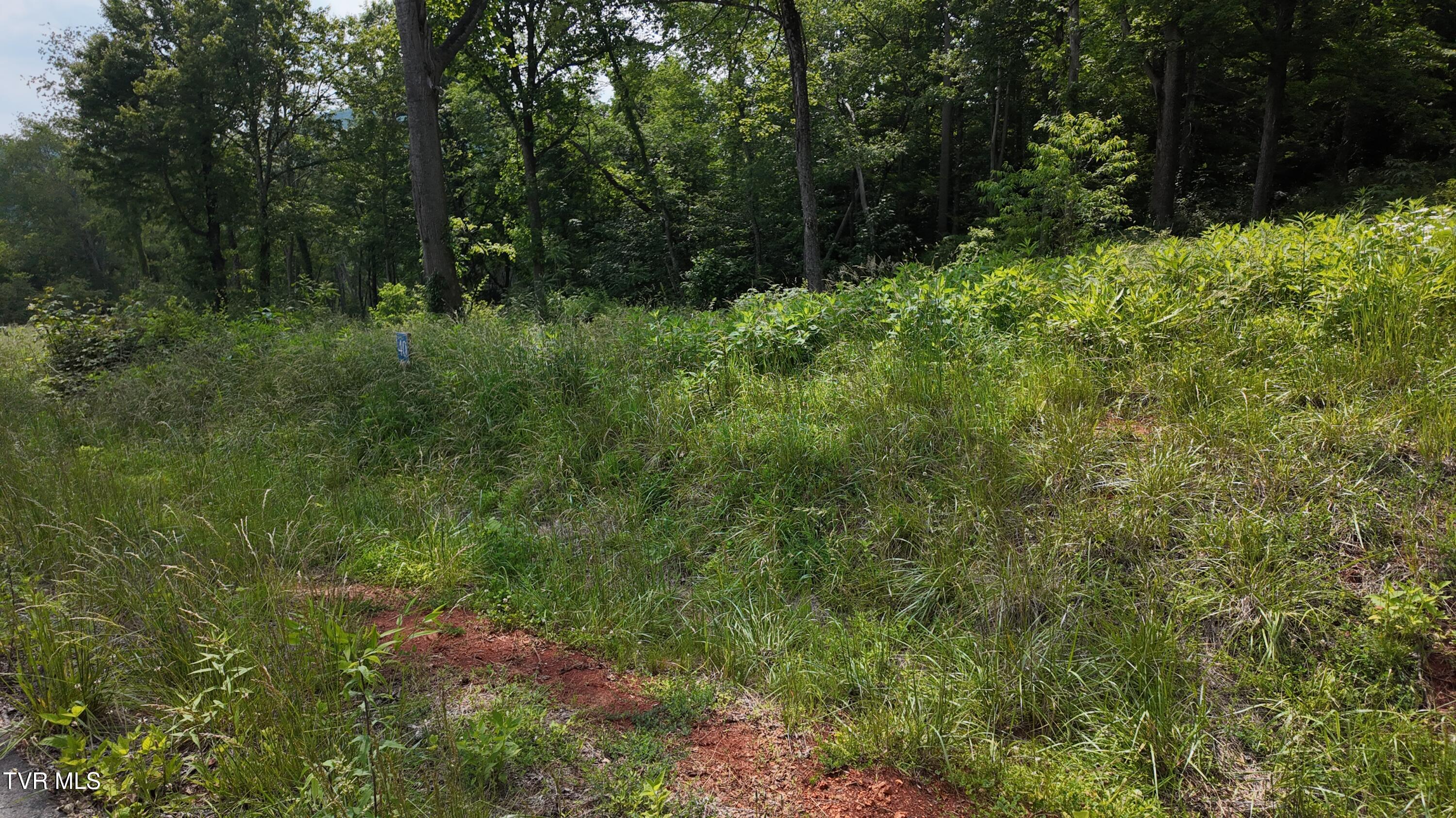 40 Cowan Town Road, Unit 40 Butler, TN 37640 - Photo 64 of 97 dji_mimo_20250604_155228_20250604155228_