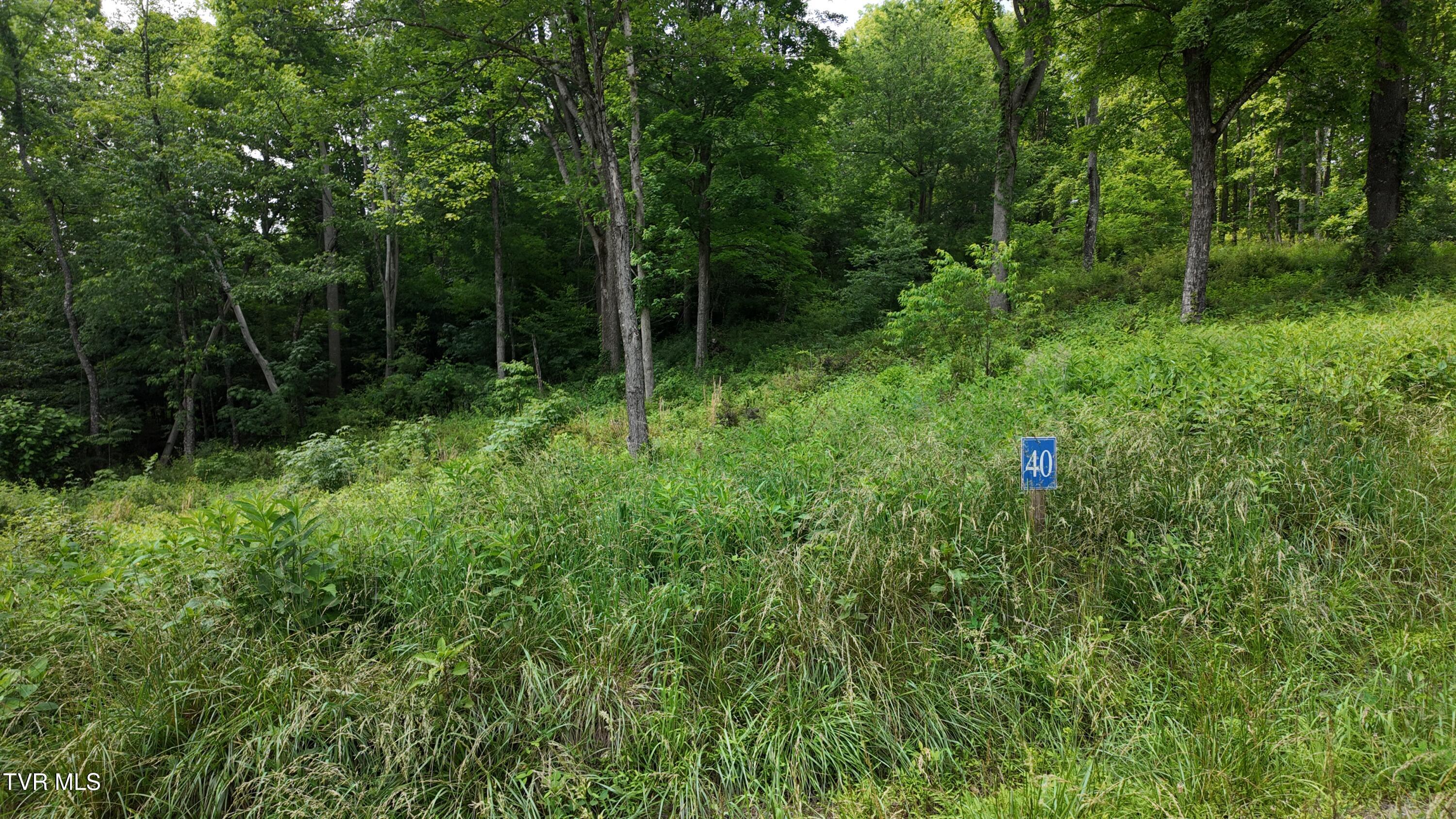 40 Cowan Town Road, Unit 40 Butler, TN 37640 - Photo 66 of 97 dji_mimo_20250604_155242_20250604155243_