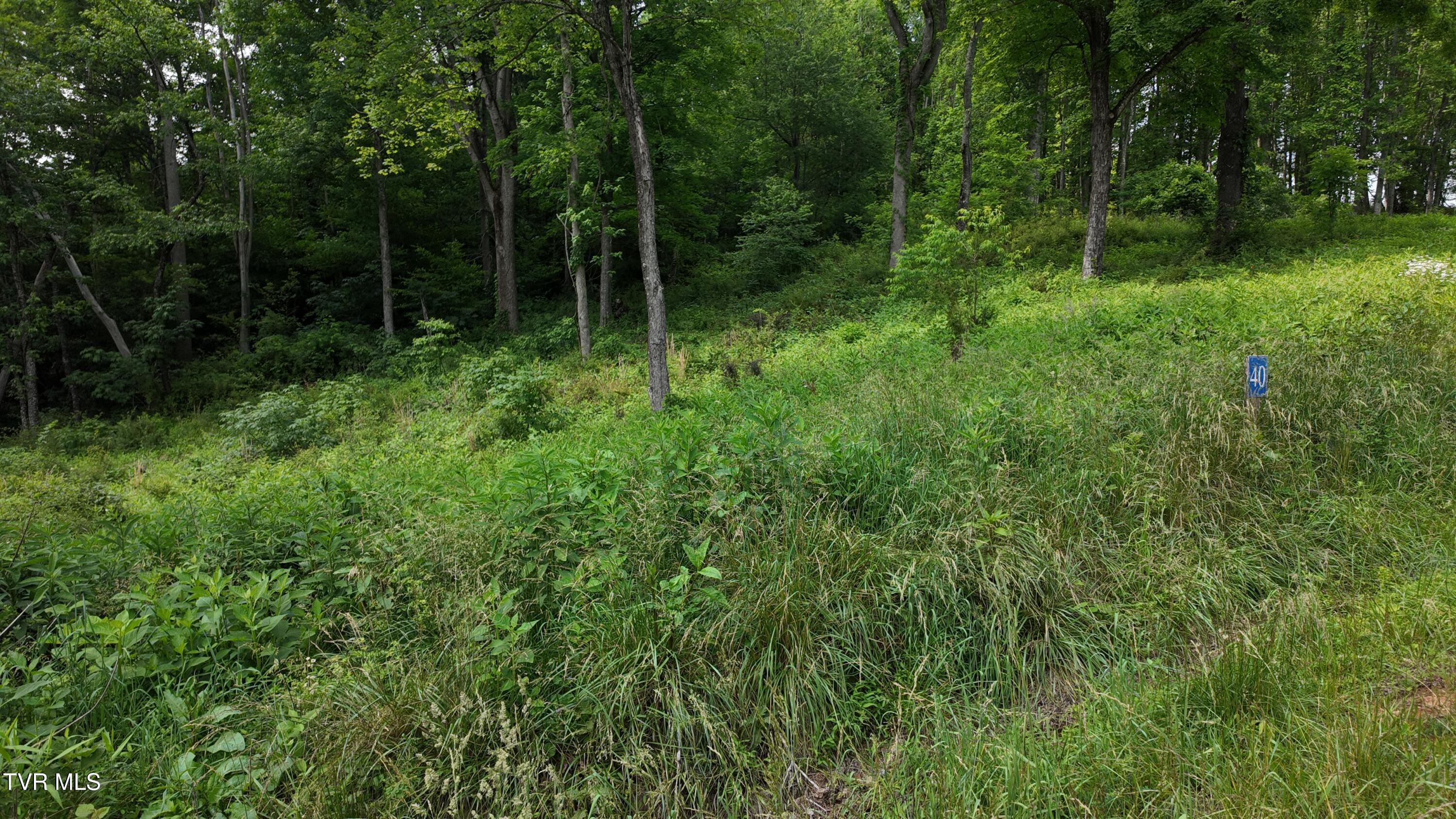 40 Cowan Town Road, Unit 40 Butler, TN 37640 - Photo 67 of 97 dji_mimo_20250604_155248_20250604155248_