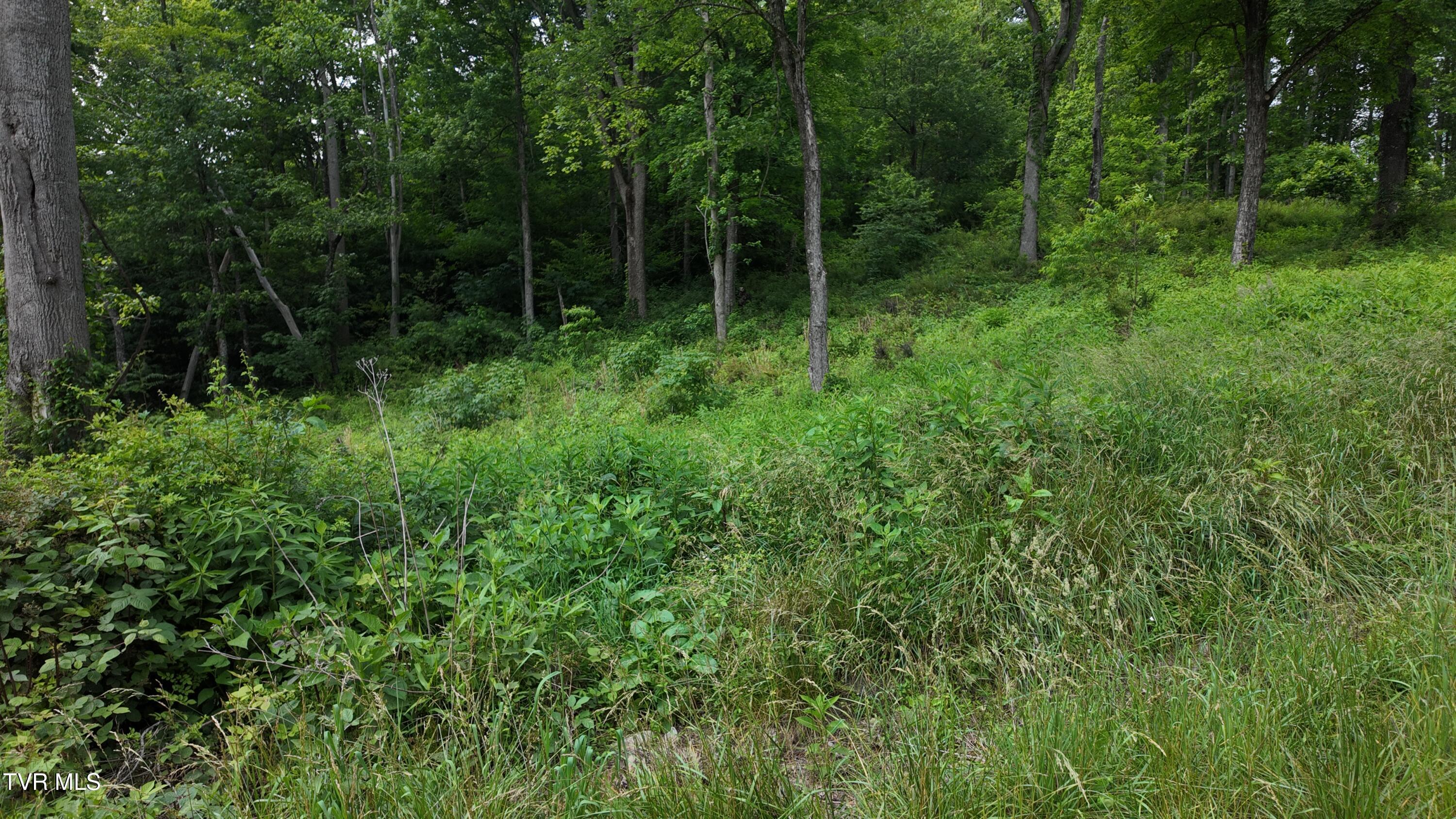 40 Cowan Town Road, Unit 40 Butler, TN 37640 - Photo 70 of 97 dji_mimo_20250604_155302_20250604155302_