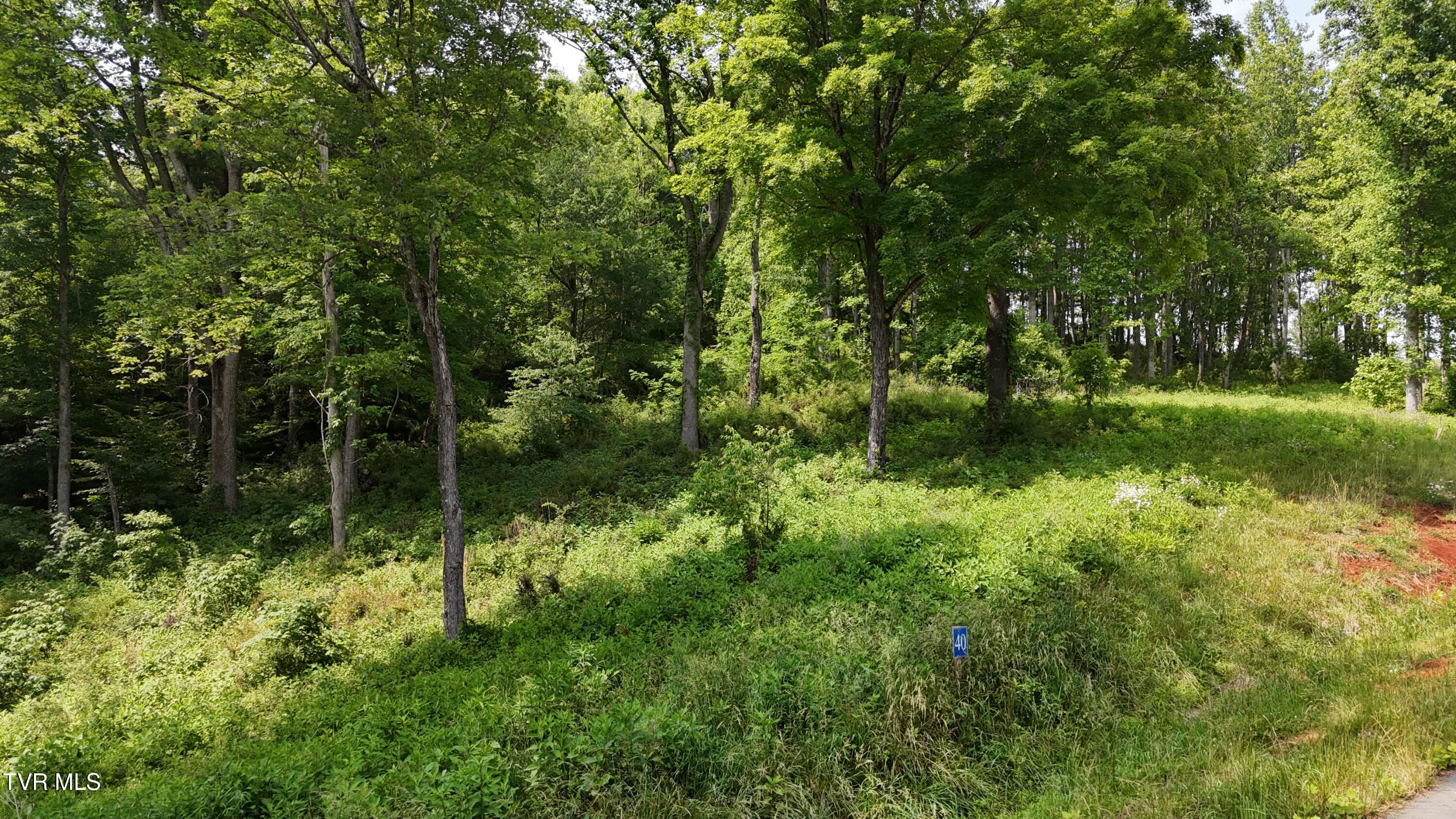 40 Cowan Town Road, Unit 40 Butler, TN 37640 - Photo 7 of 97 dji_fly_20250604_154146_0144_17490665960