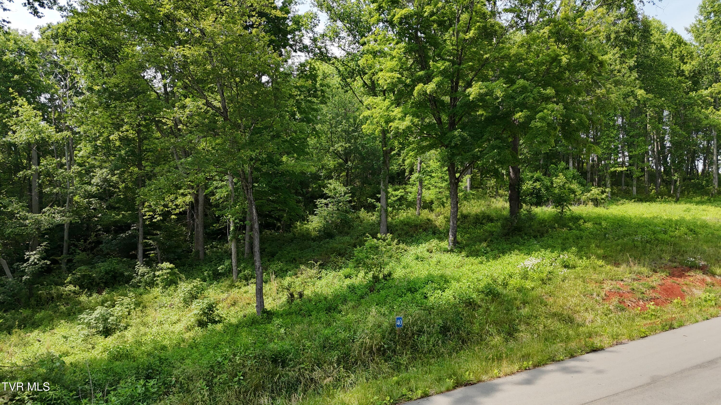 40 Cowan Town Road, Unit 40 Butler, TN 37640 - Photo 8 of 97 dji_fly_20250604_154150_0145_17490665959