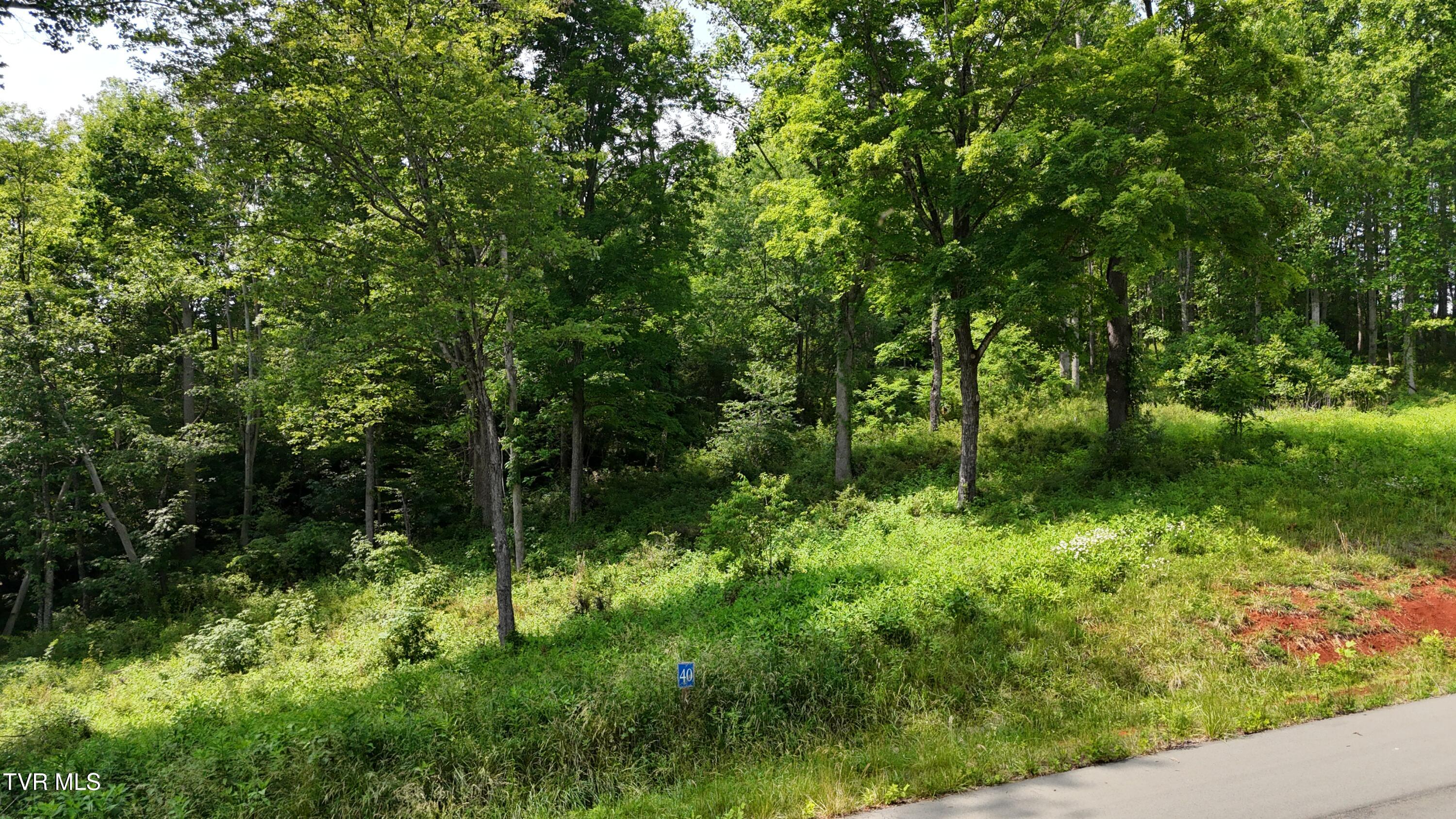 40 Cowan Town Road, Unit 40 Butler, TN 37640 - Photo 10 of 97 dji_fly_20250604_154200_0147_17490665949