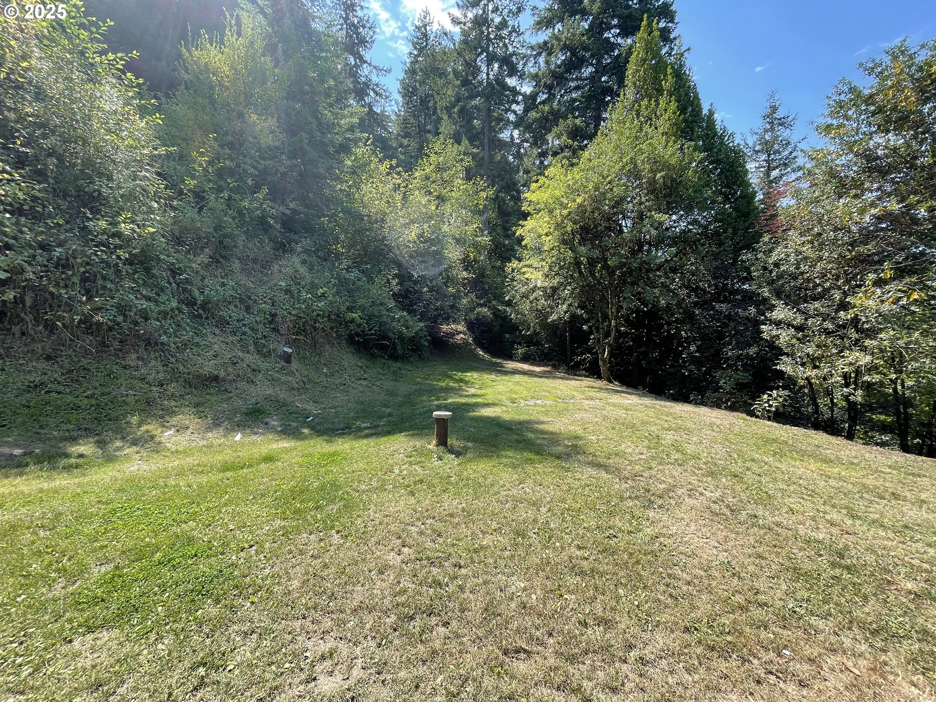 53621 Weekly Creek Road Myrtle Point, OR 97458 - Photo 22 of 34