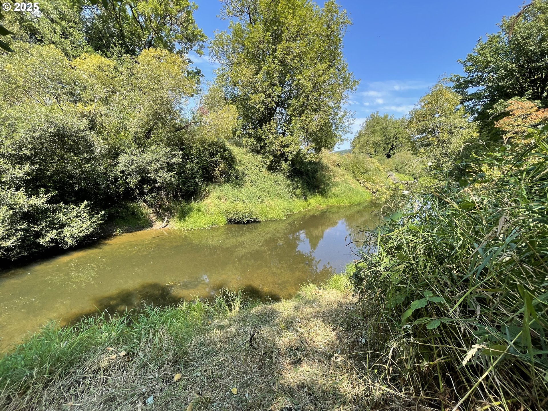 53621 Weekly Creek Road Myrtle Point, OR 97458 - Photo 34 of 34