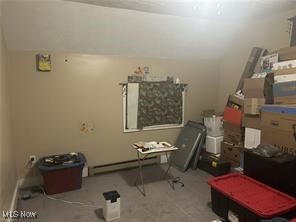 12342 Madison Road Huntsburg, OH 44046 - Photo 6 of 21 Storage area featuring a baseboard radiator