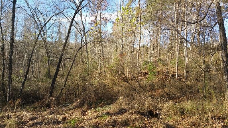 273 Cranwell Road Pikeville, TN 37367 - Photo 9 of 13 Gallery Image 9
