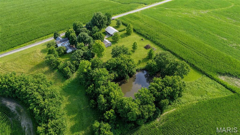 6063 Seiler Road Dorsey, IL 62021 - Photo 77 of 80