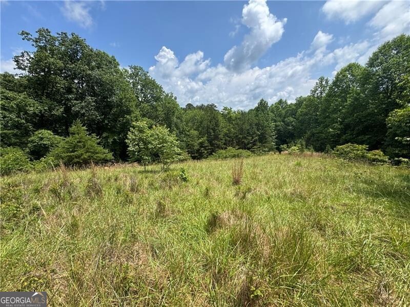0 Ben Higgins Road Dahlonega, GA 30533 - Photo 16 of 21