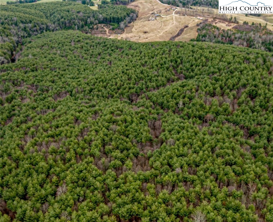 Tbd-1 Glade Valley Road Sparta, NC 28675 - Photo 15 of 19 a view of a lush green field