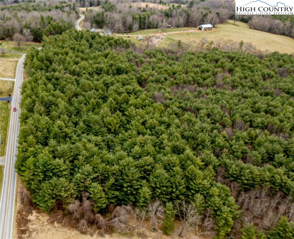 Tbd-1 Glade Valley Road Sparta, NC 28675 - Photo 5 of 19 a view of a big yard with plants and a tree