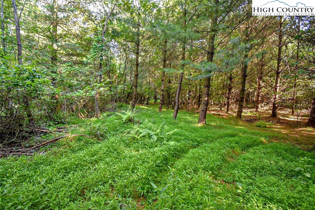 Tbd-1 Glade Valley Road Sparta, NC 28675 - Photo 8 of 19 a view of outdoor space