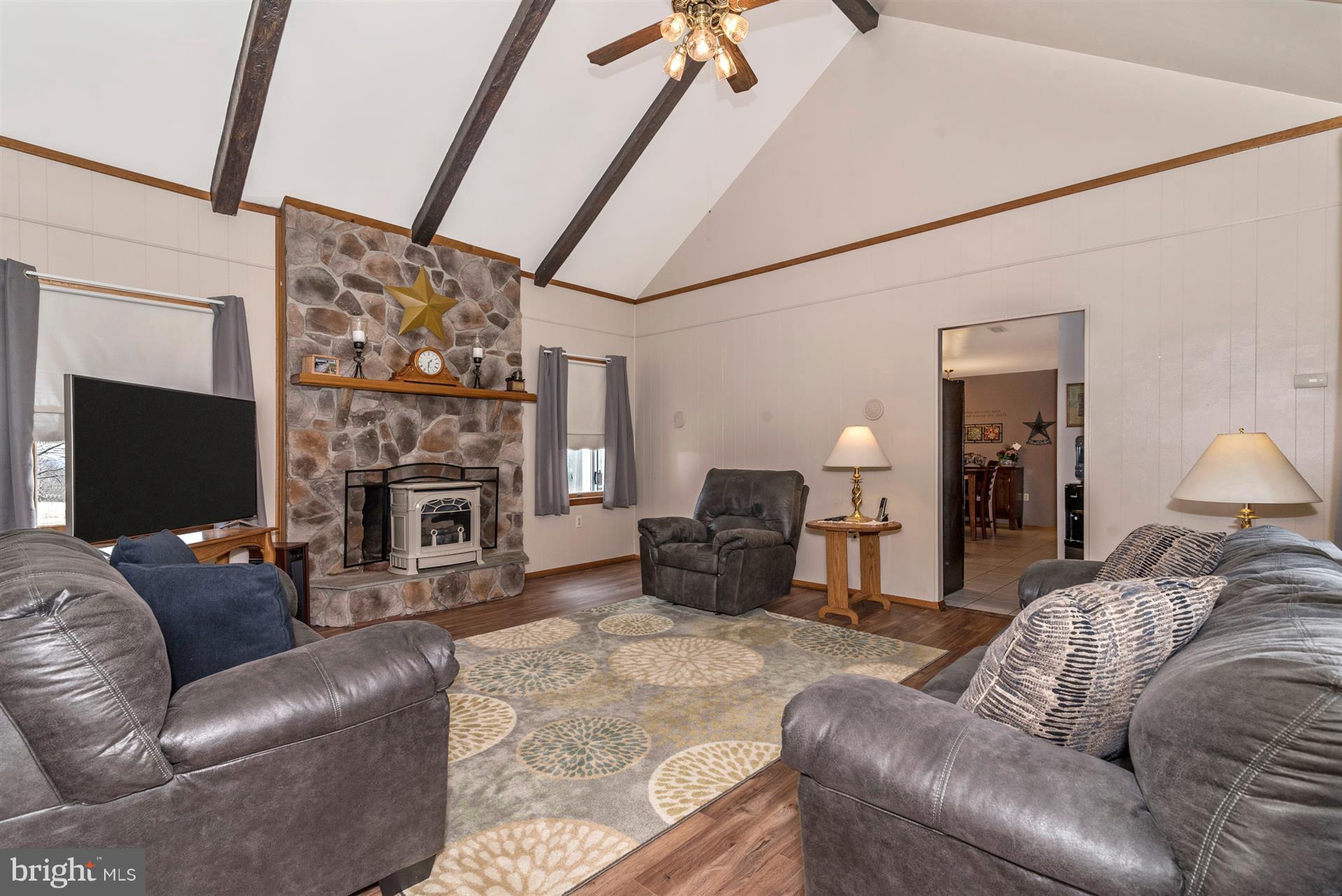8717 Indian Springs Road Frederick, MD 21702 - Photo 11 of 24 a living room with furniture a fireplace and a flat screen tv