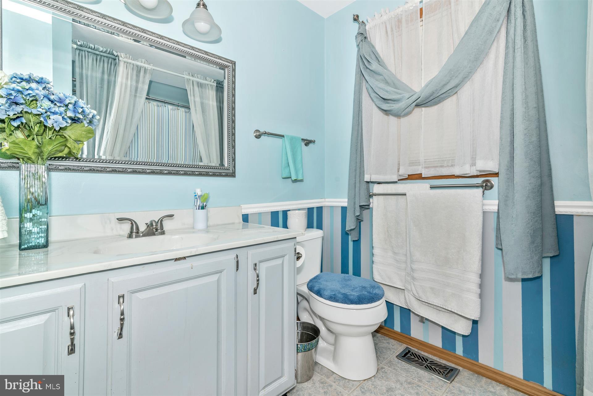 8717 Indian Springs Road Frederick, MD 21702 - Photo 8 of 24 a bathroom with a sink a toilet and a mirror