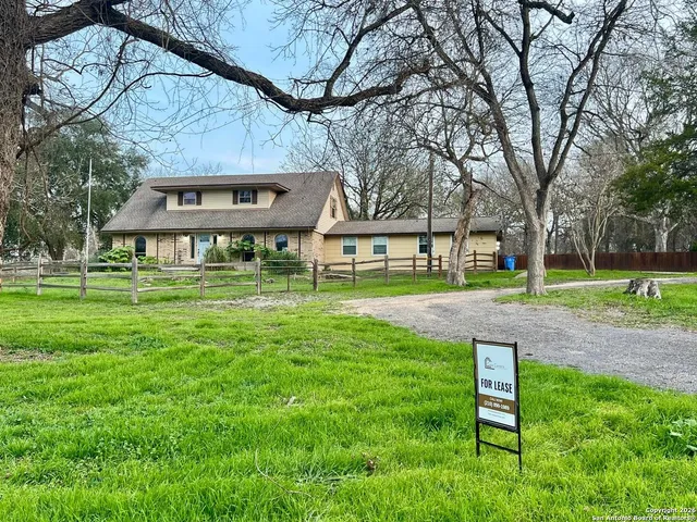 a view of a park with large trees