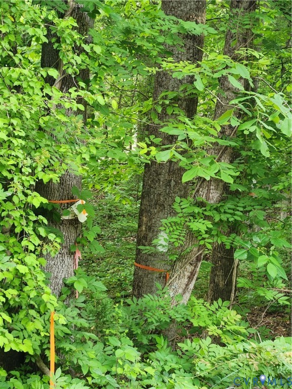 0 Bryants Ford Road Fork Union, VA 23055 - Photo 6 of 14 The property lines are well marked with white pain