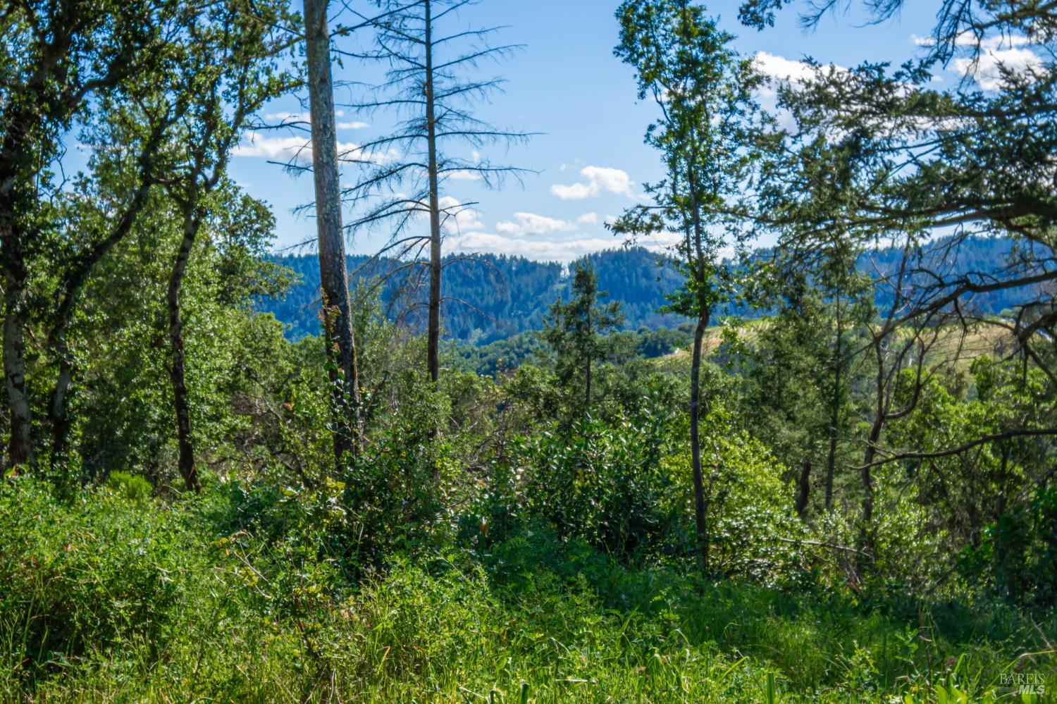 0 Dry Creek Road Napa, CA 94558 - Photo 83 of 98