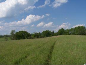 15250 Highway 250 Rising Sun, IN 47040 - Photo 1 of 11