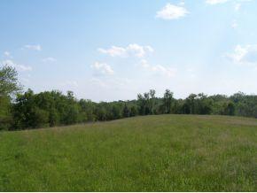 15250 Highway 250 Rising Sun, IN 47040 - Photo 3 of 11