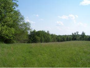 15250 Highway 250 Rising Sun, IN 47040 - Photo 4 of 11