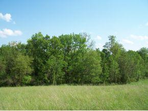 15250 Highway 250 Rising Sun, IN 47040 - Photo 5 of 11