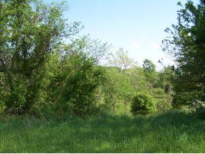 15250 Highway 250 Rising Sun, IN 47040 - Photo 7 of 11