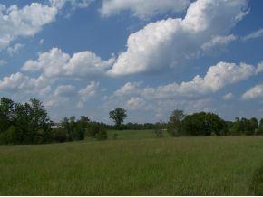 15250 Highway 250 Rising Sun, IN 47040 - Photo 9 of 11