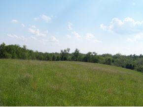 15250 Highway 250 Rising Sun, IN 47040 - Photo 10 of 11